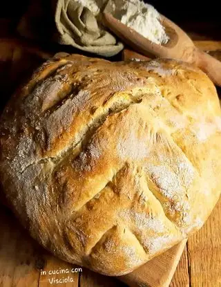 Ricetta Pane tre tazze di visciola.versilia