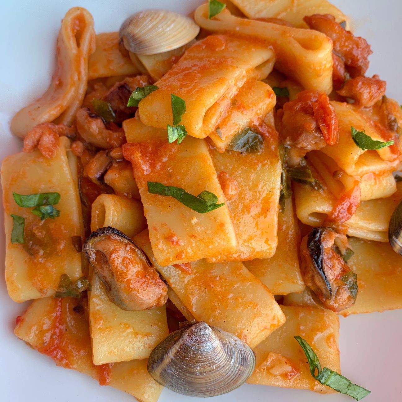 Calamarata con cozze e vongole