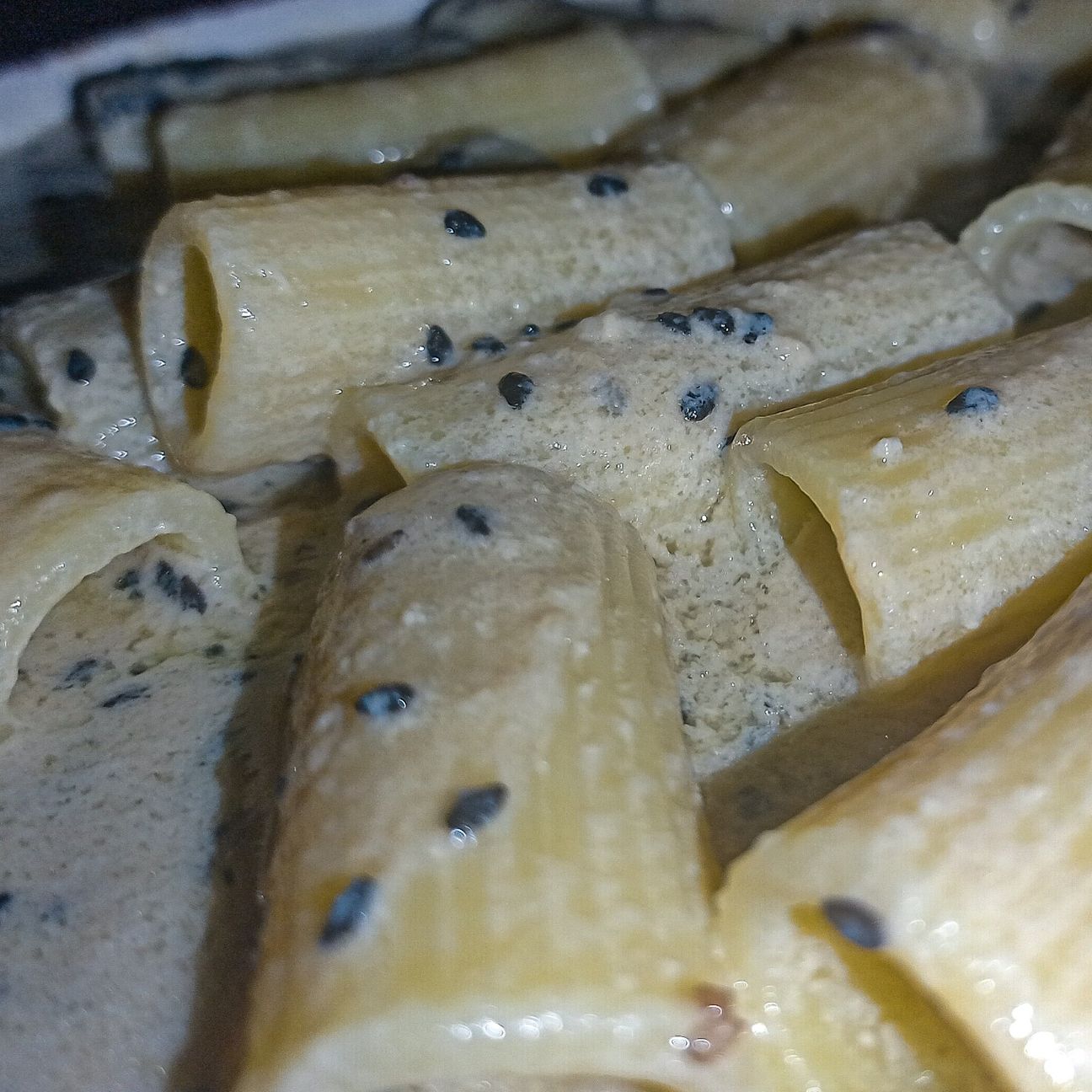 Rigatoni in Alfredo sauce