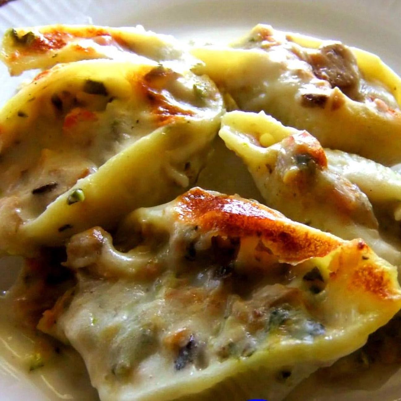 Conchiglioni con zucchine e funghi