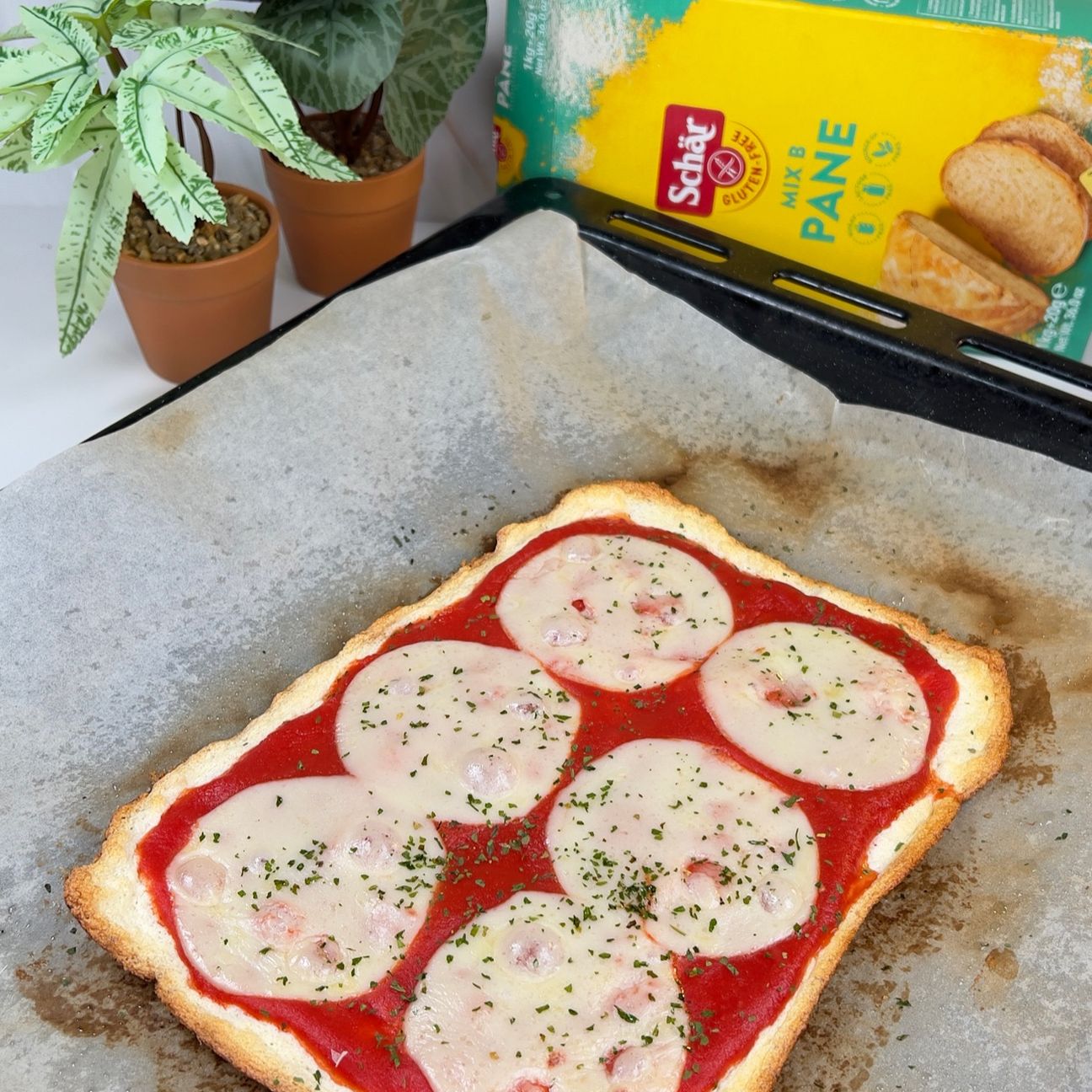 Fake pizza senza glutine