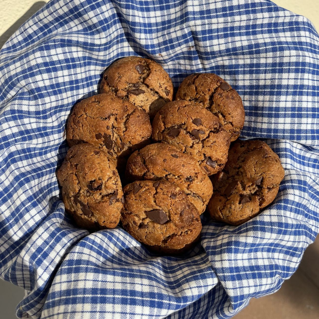 BISCOTTONI farina di castagne, cioccolato e uvetta VEG