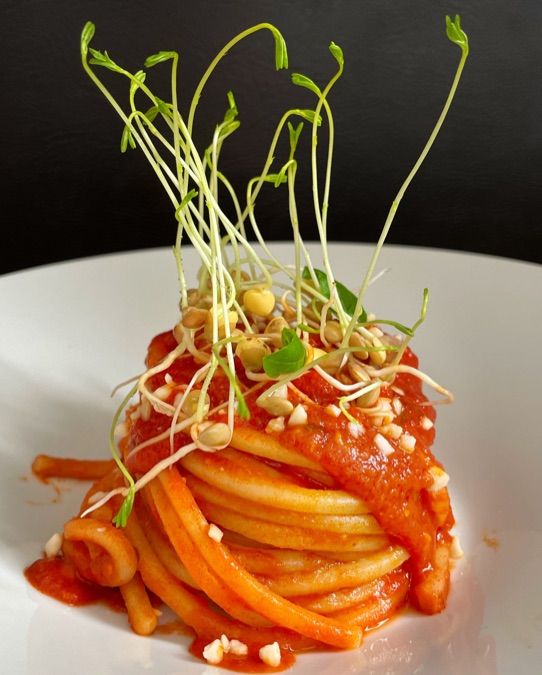 Spaghettoni al pomodoro,granella di mandorle e germogli di lenticchie
