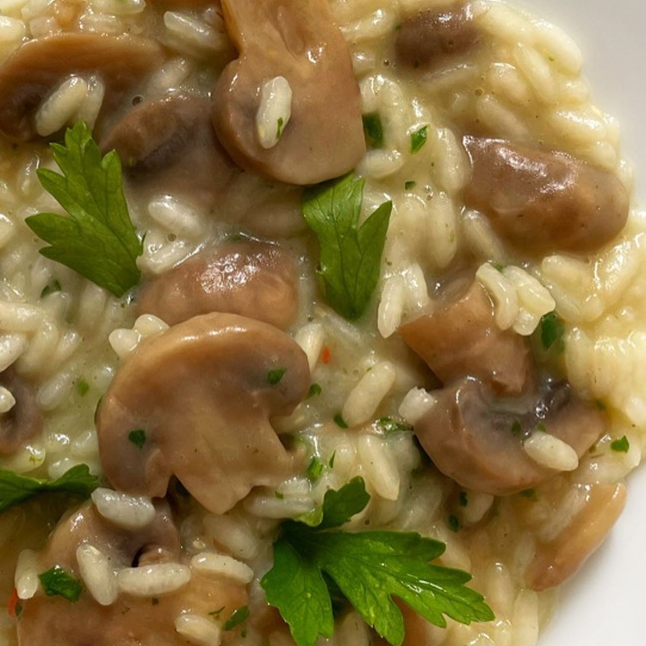 Risotto ai funghi champignon
