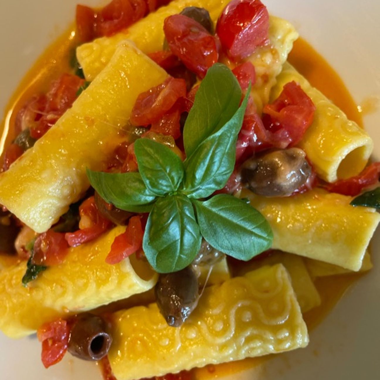 Rigatoni all’uovo con pomodorini , olive,capperi e mozzarella