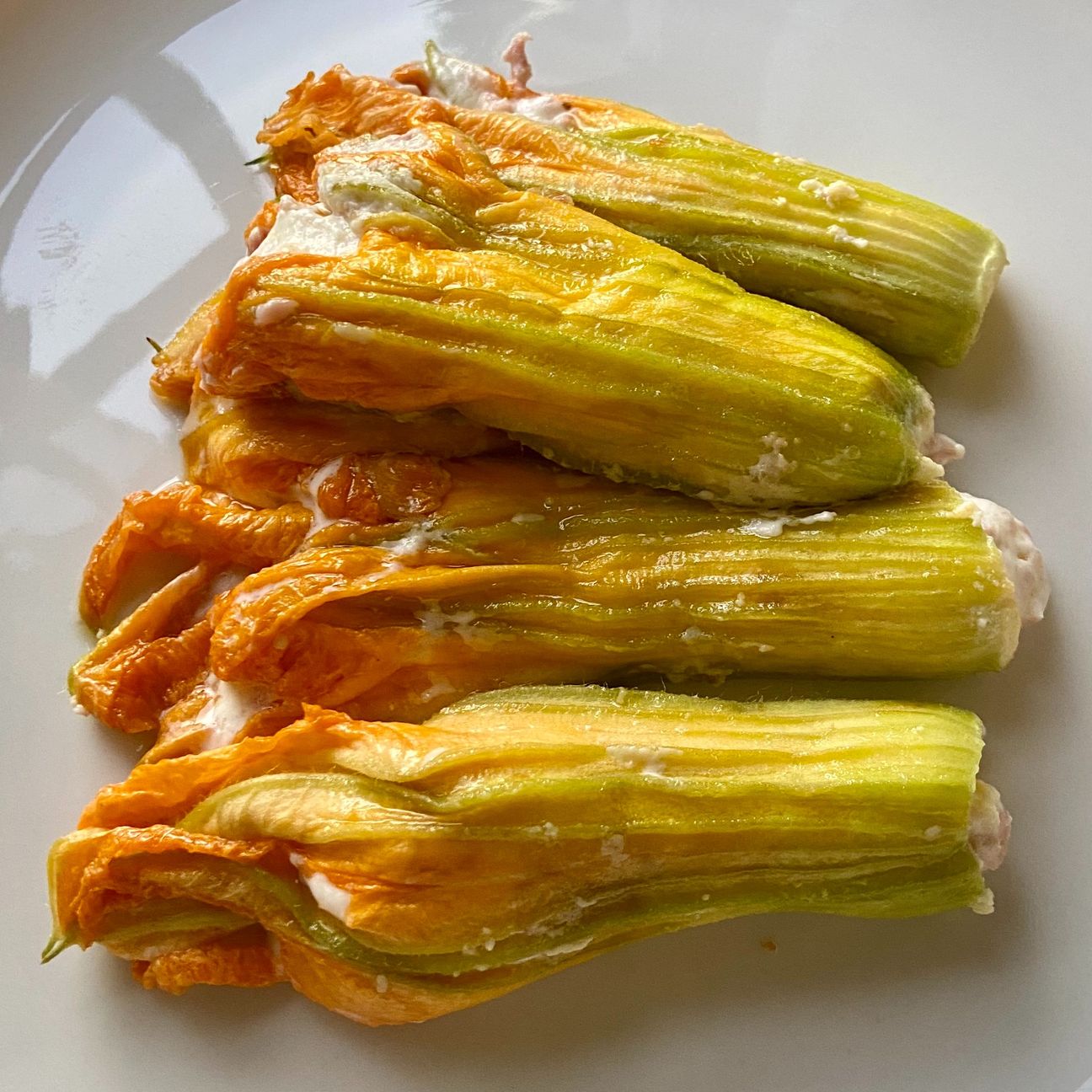 Fiori di zucca ripieni 😍