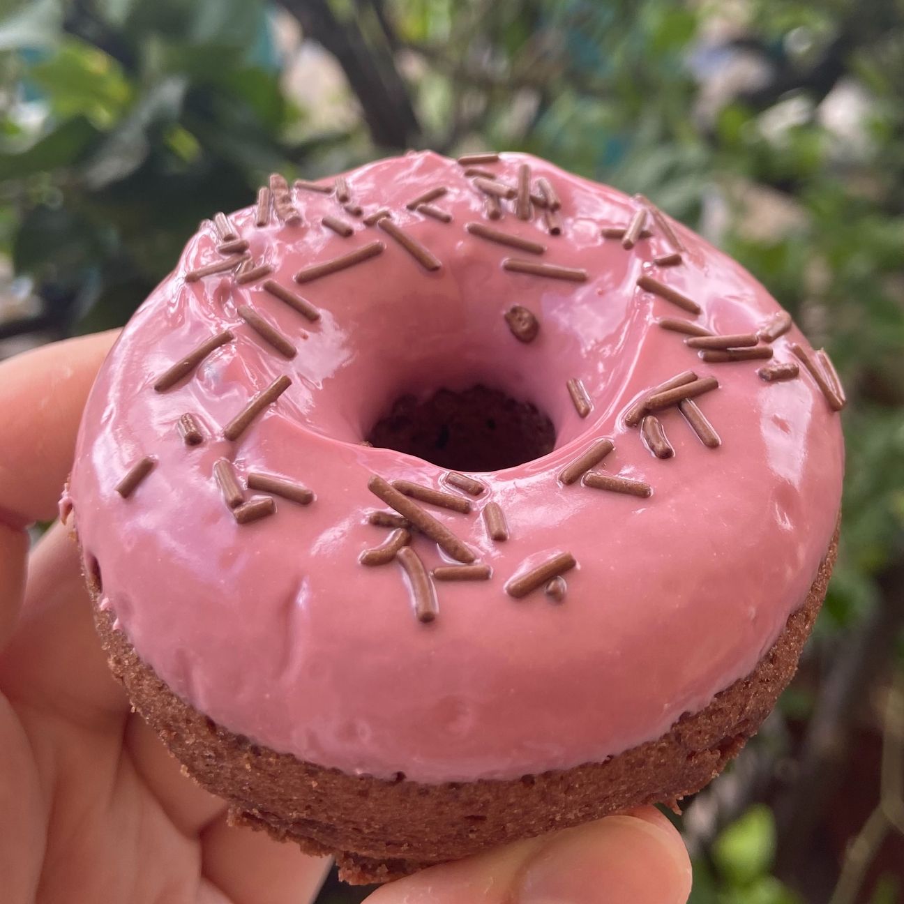Ciambelline al cacao e cioccolato ruby ❤️