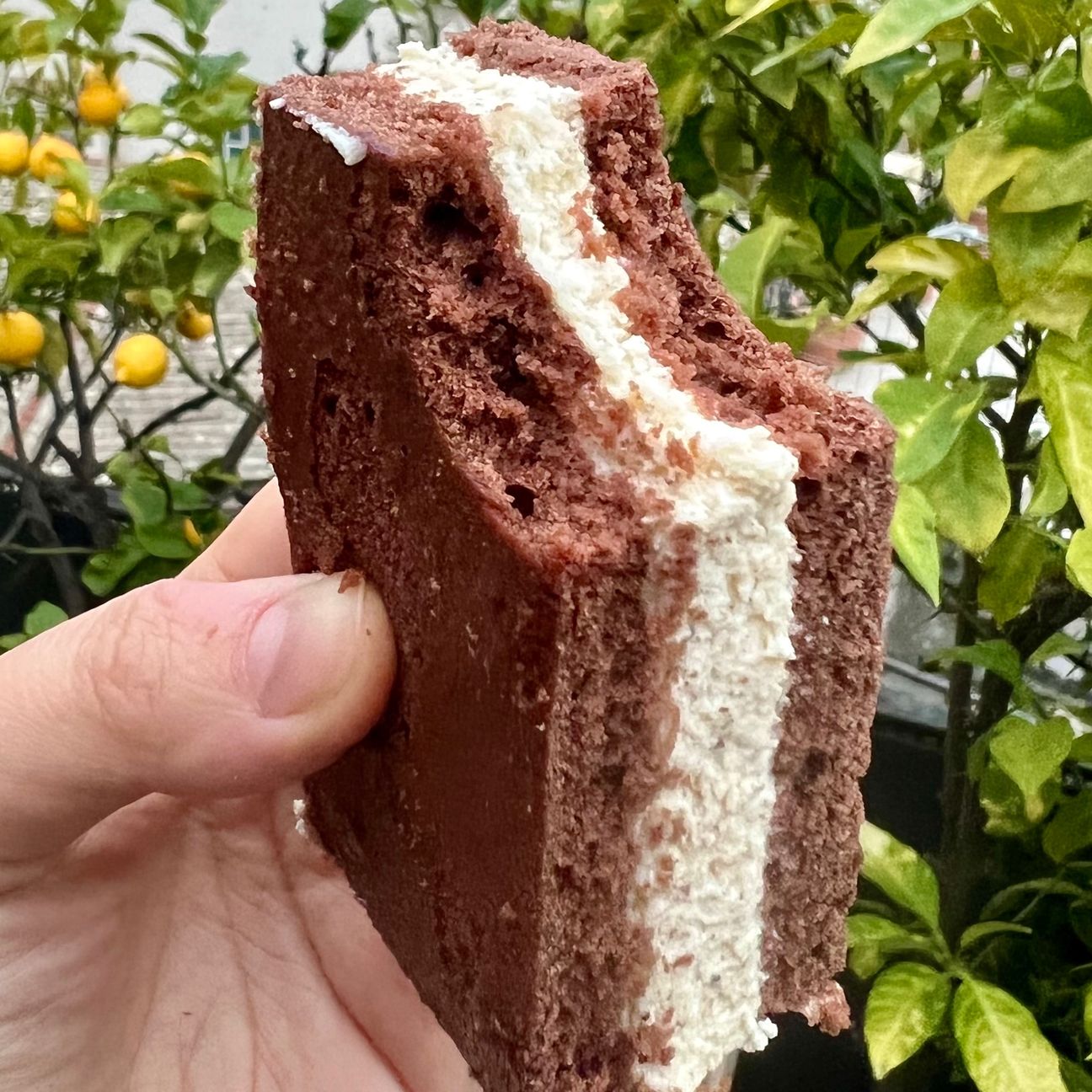 Merendine cacao ripiene di crema al mascarpone 😍