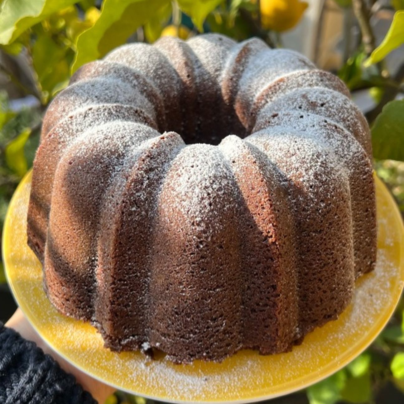 Ciambellone al cioccolato ☺️
