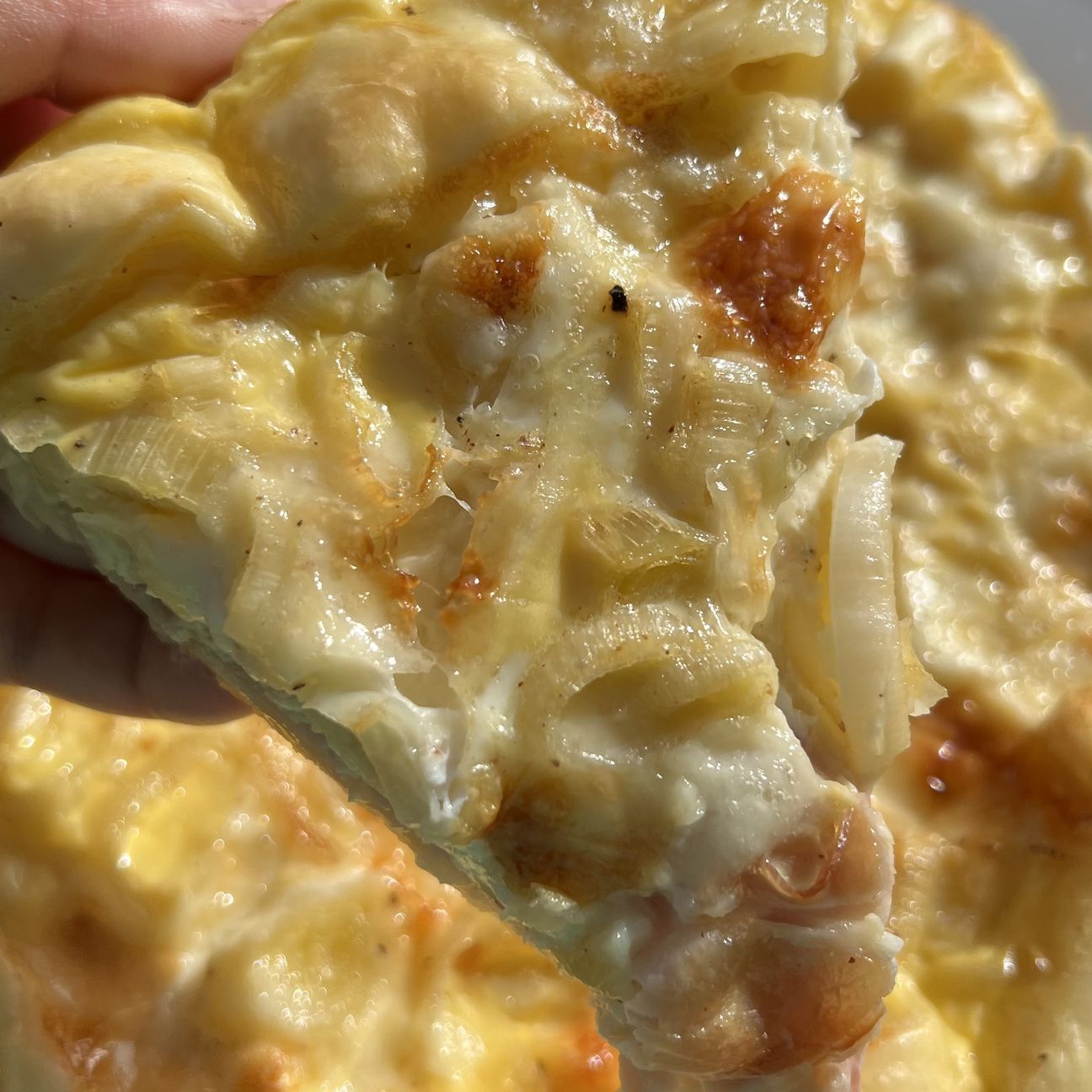Torta salata porri e taleggio