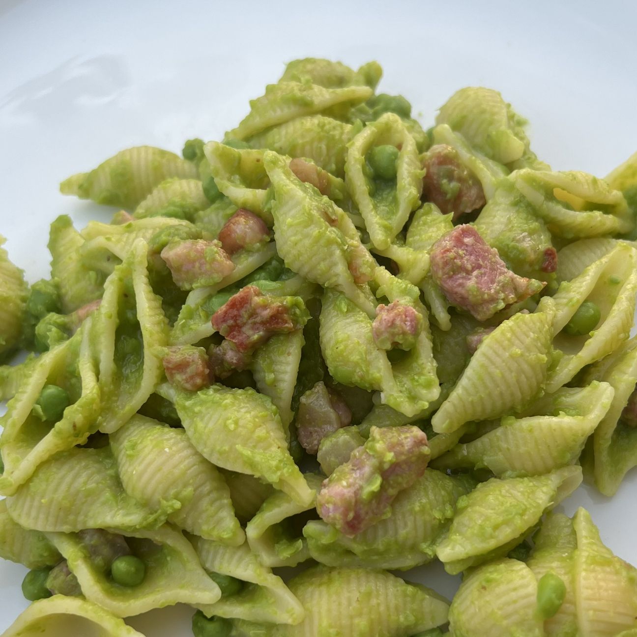 Conchiglie, crema di piselli e pancetta