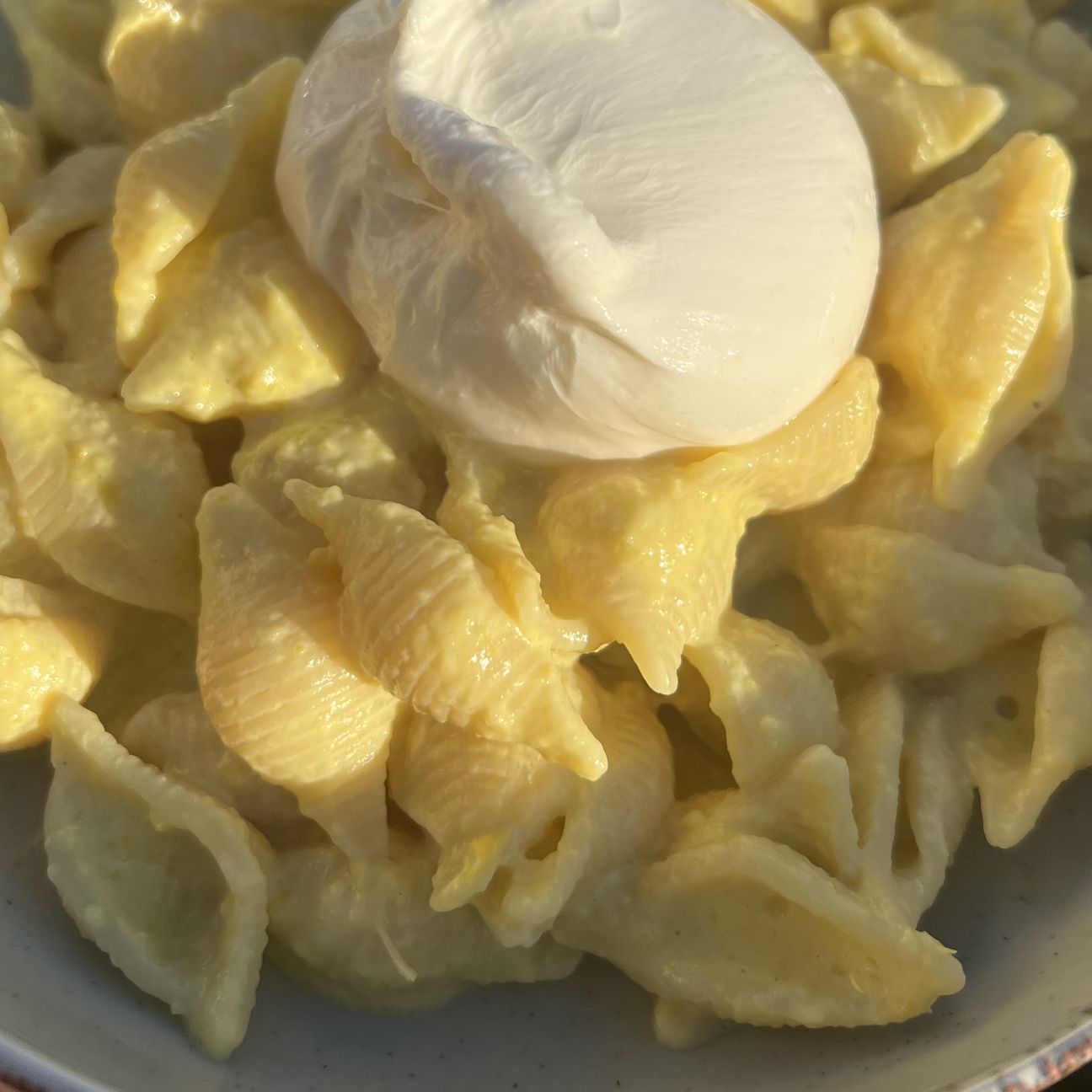 Conchiglie, crema di peperone e burrata