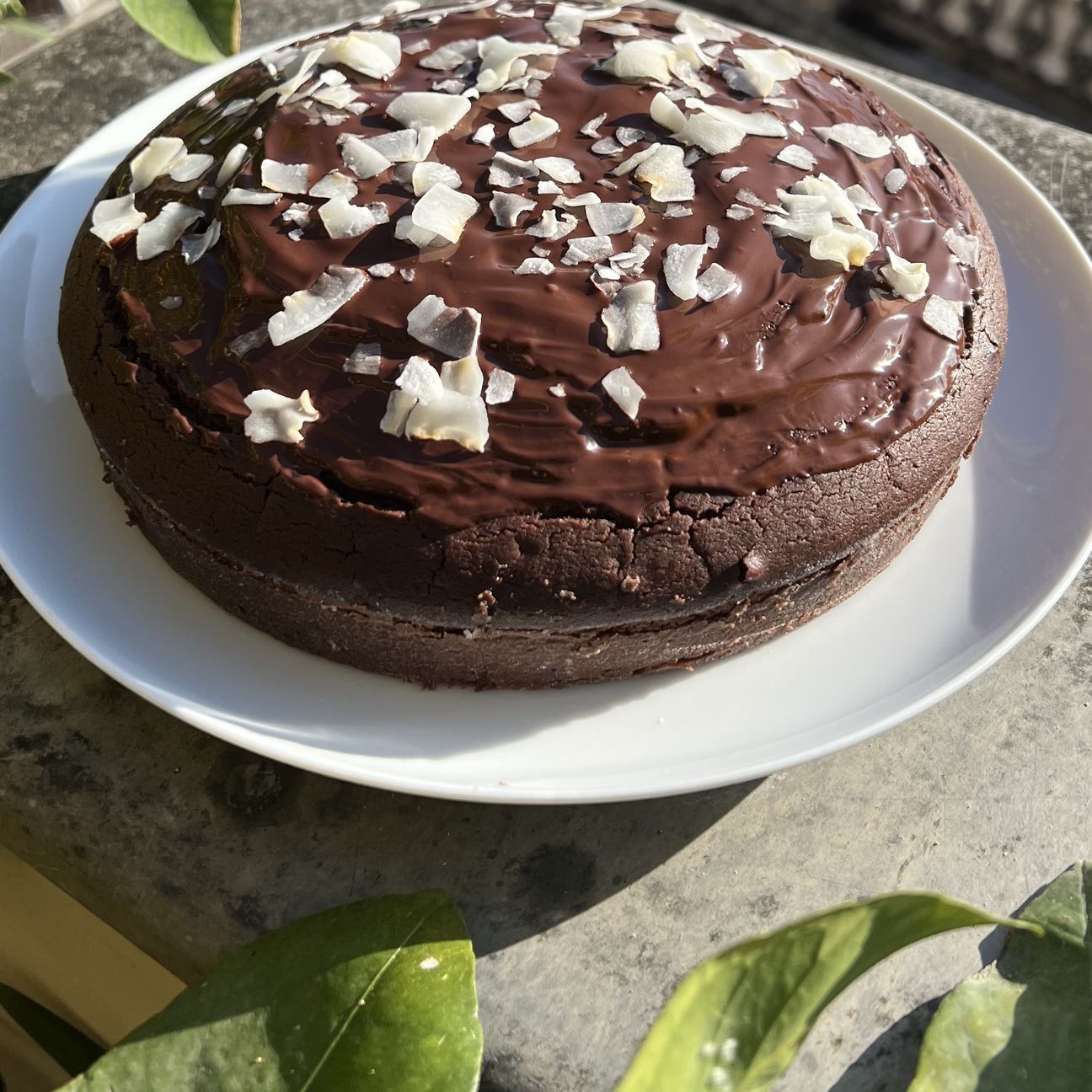 Torta cacao e cocco