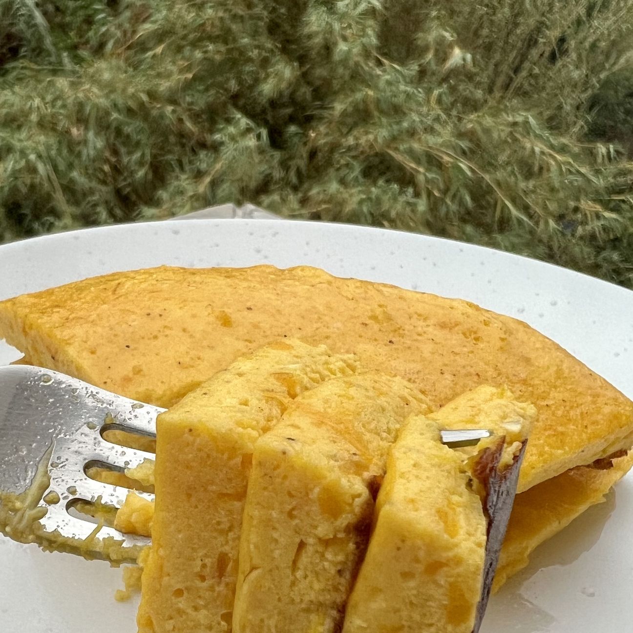 Frittata alla zucca