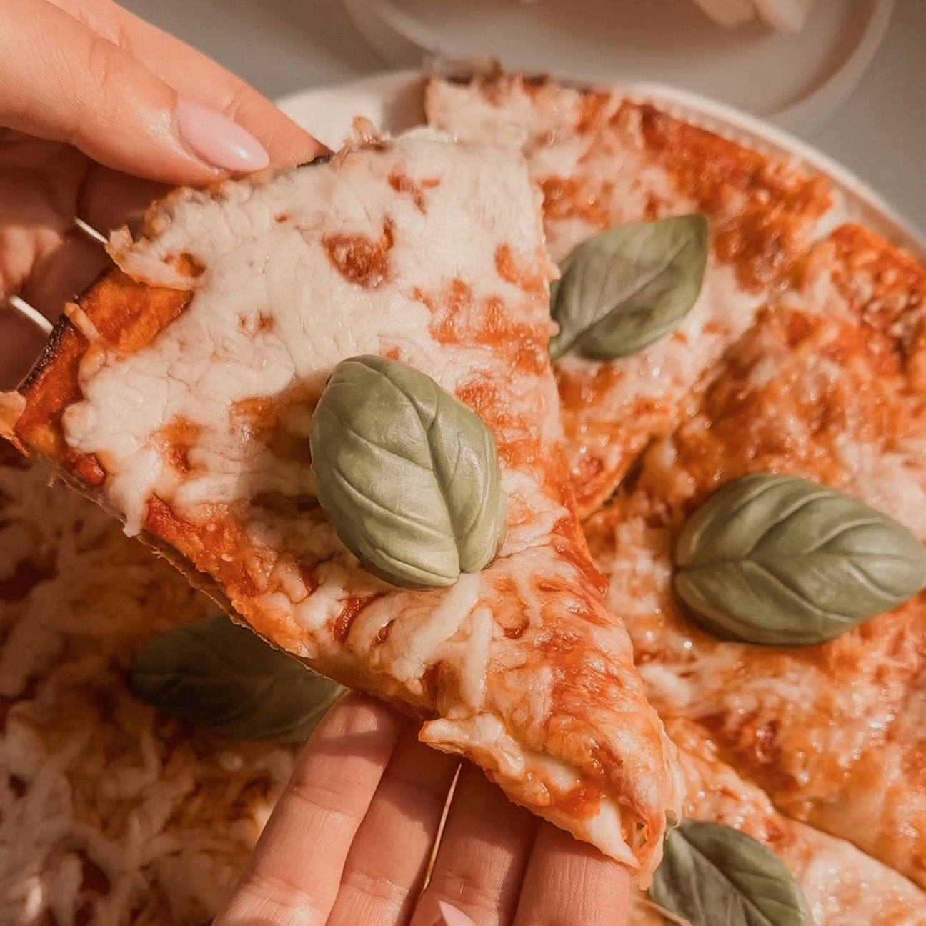 Piadipizza