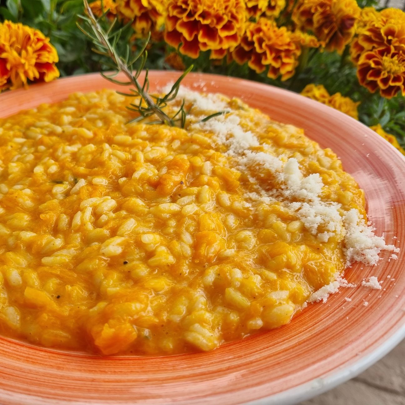 Risotto zucca e provola