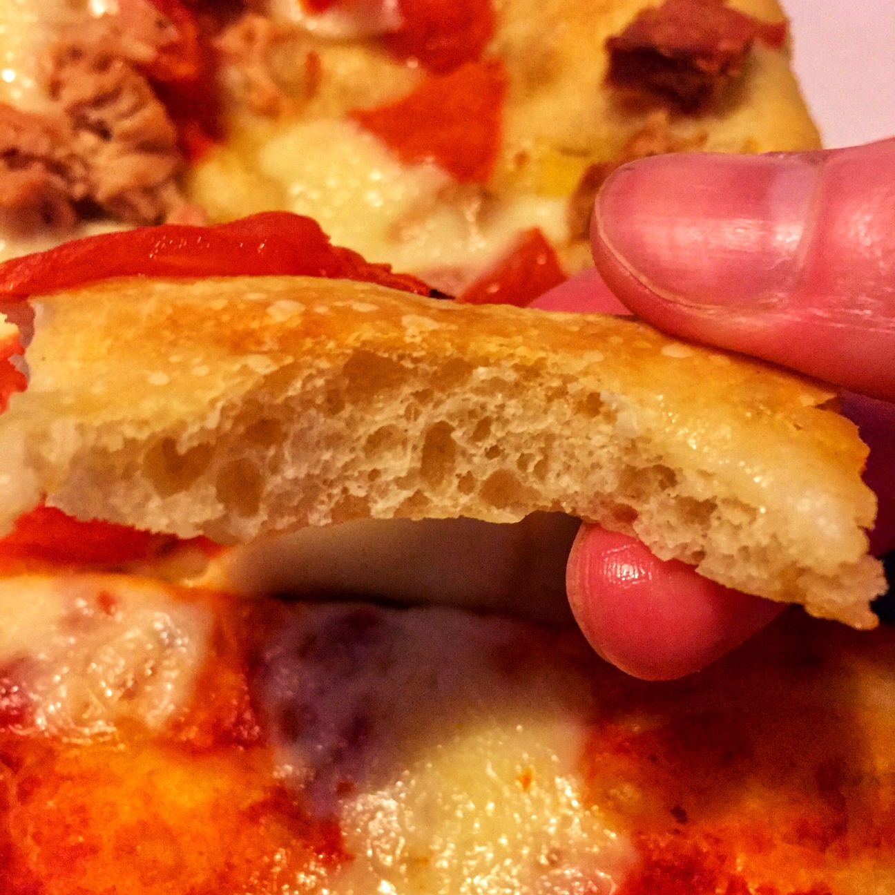 Pizza in teglia a lunga lievitazione