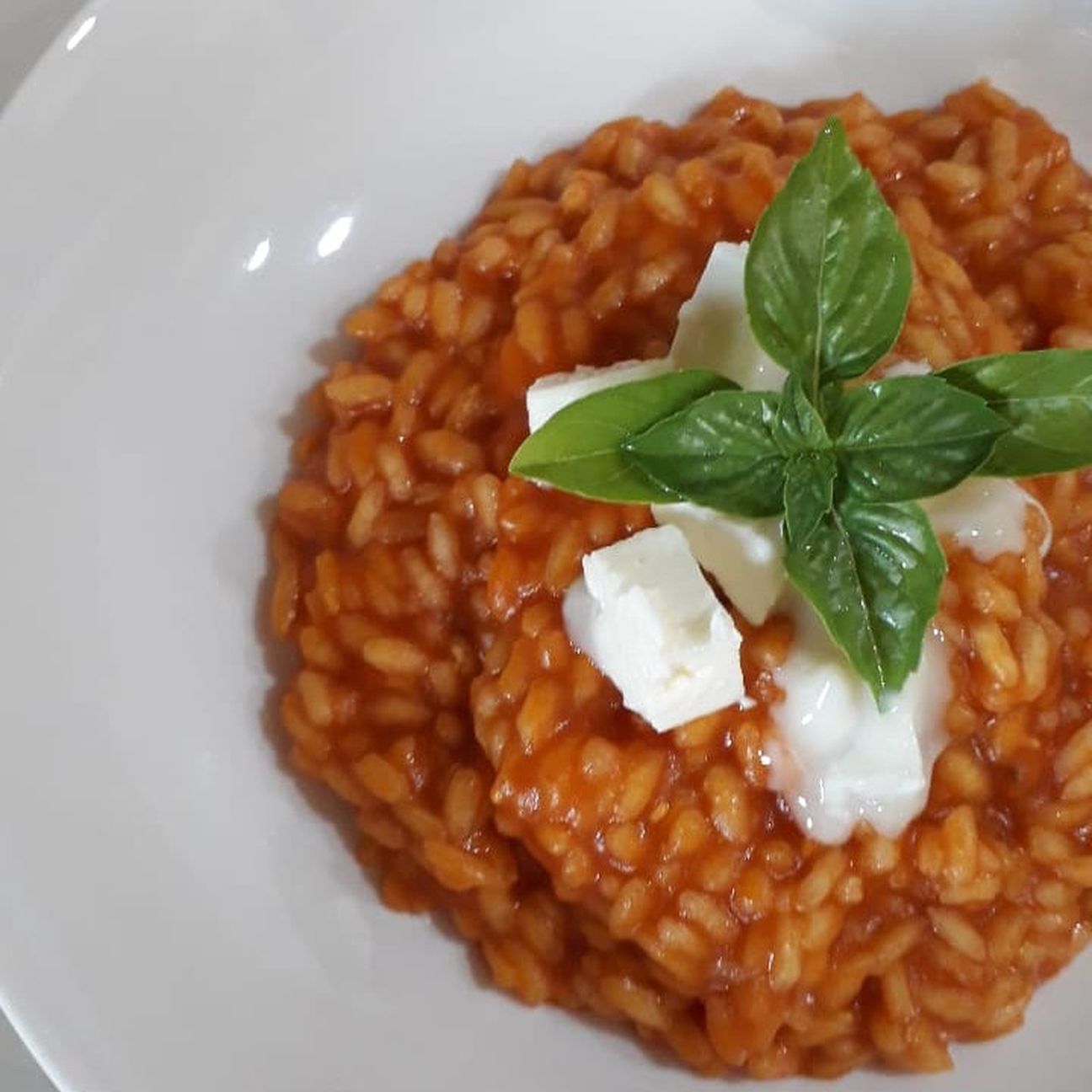 Risotto con pomodoro