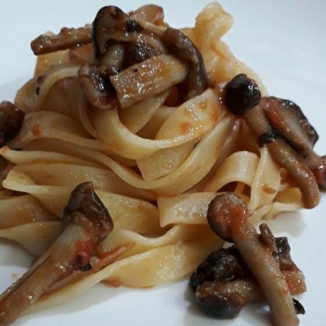 Tagliatelle con funghi chiodini.