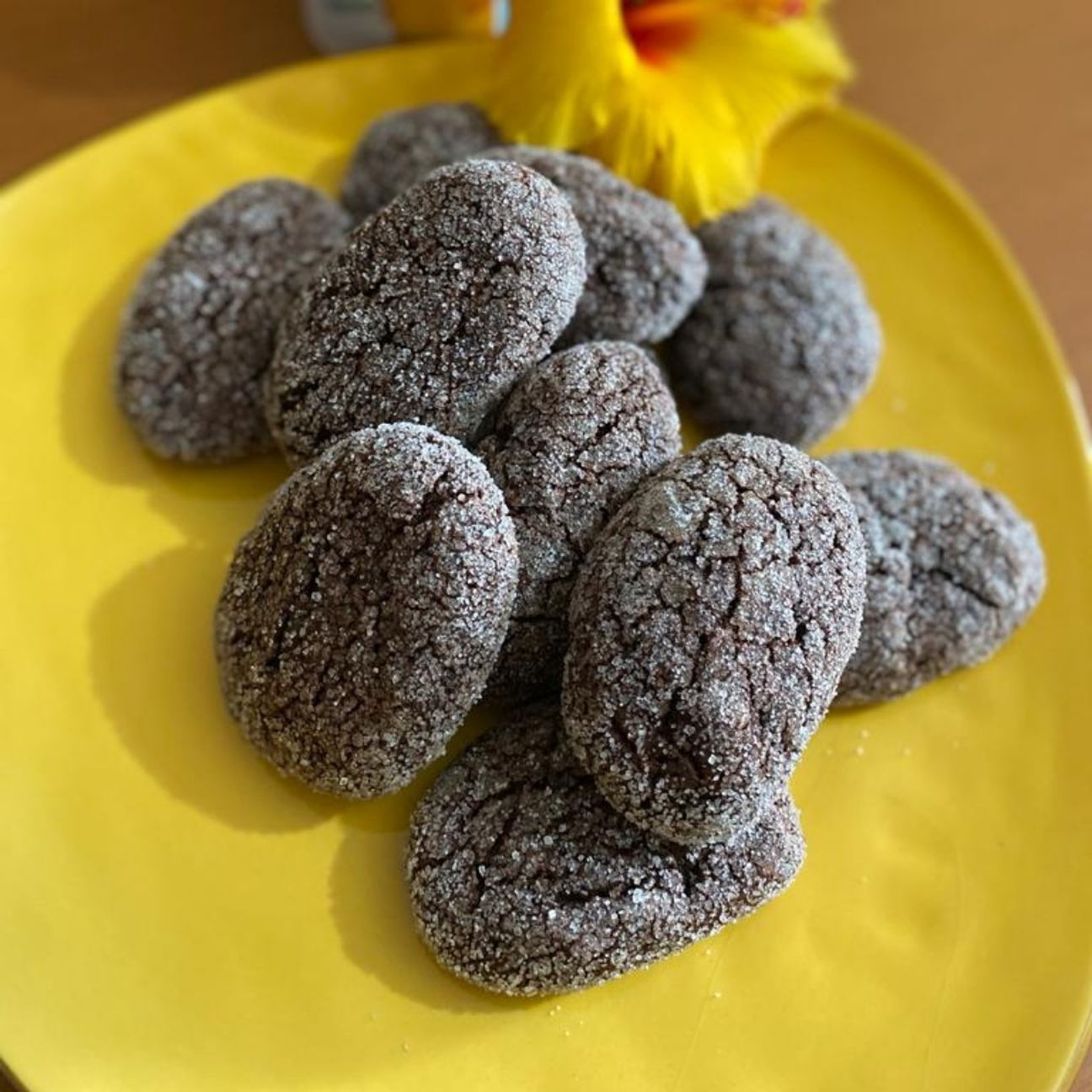 Biscotti da inzuppo al cacao