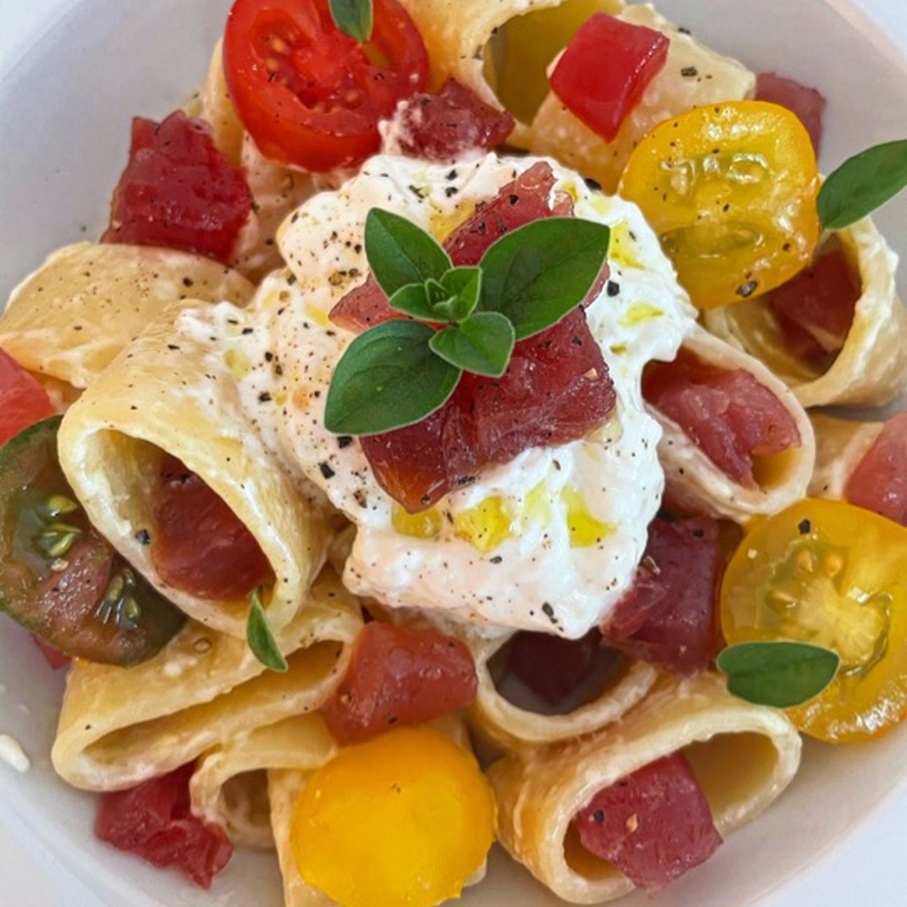 Calamarata con burrata, mix di pomodorini e tonno fresco