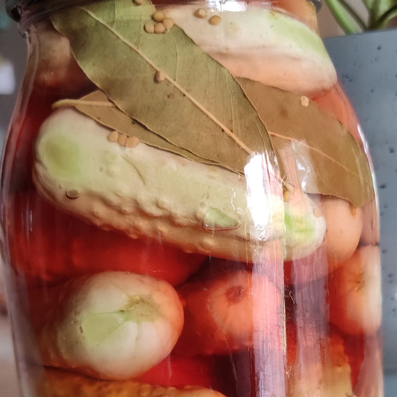 Moscatelli sotto aceto con senape ed alloro