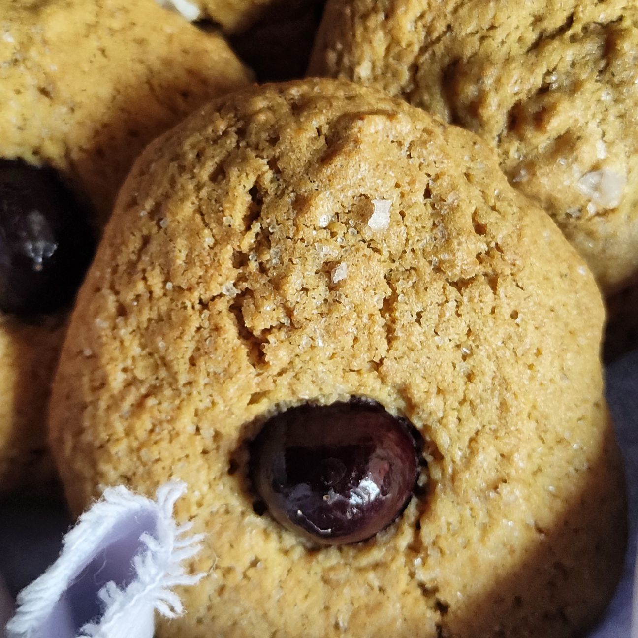 Biscotti di San Giovanni