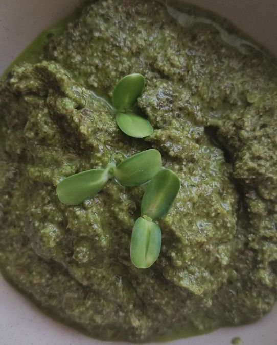 la salsa verde controcorrente