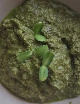 Ricetta la salsa verde controcorrente di paola.cremonesi89