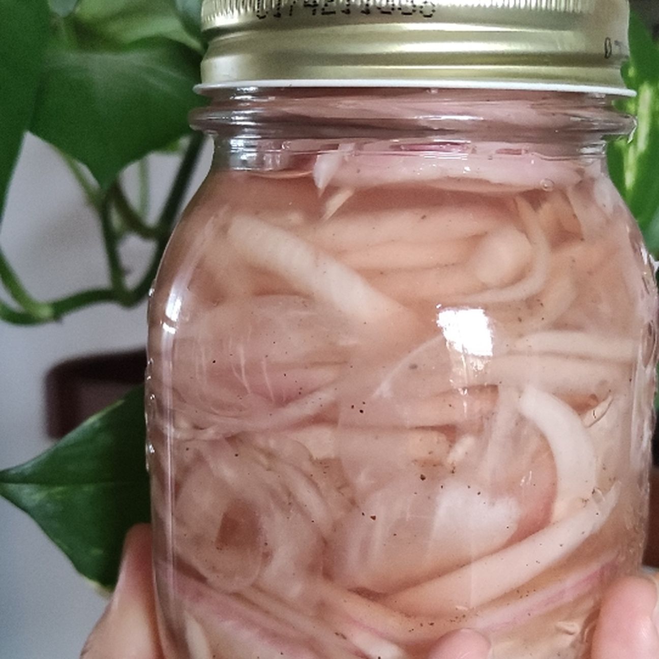 Cipolle di Acquaviva in agro con pepe nero