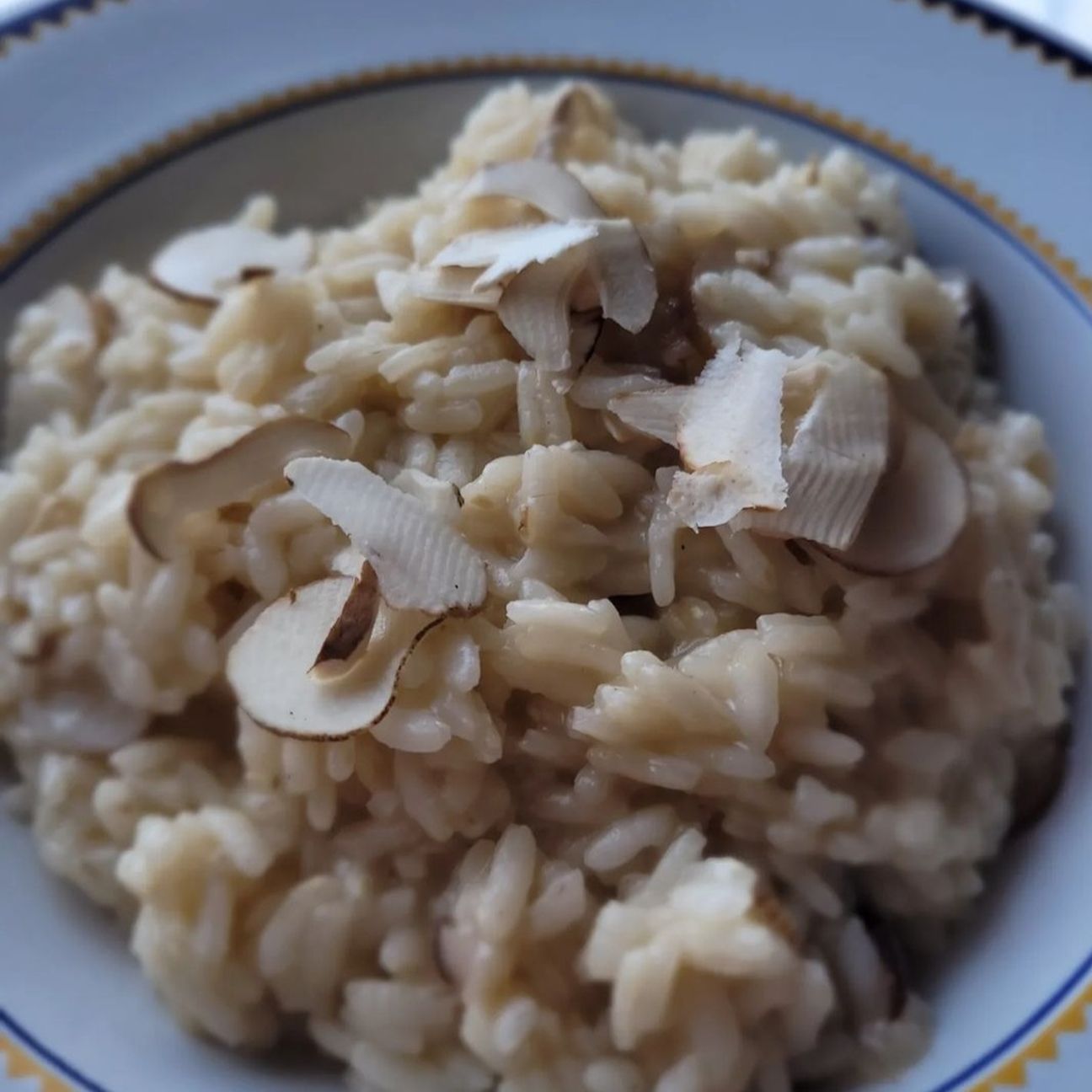 Risotto ai funghi porcini