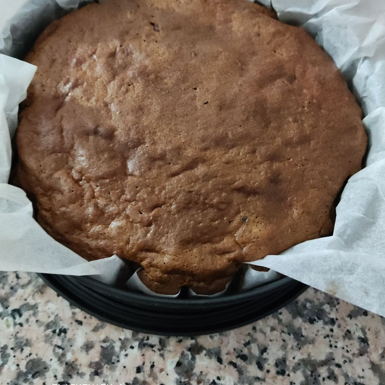 Pan di spagna al cioccolato