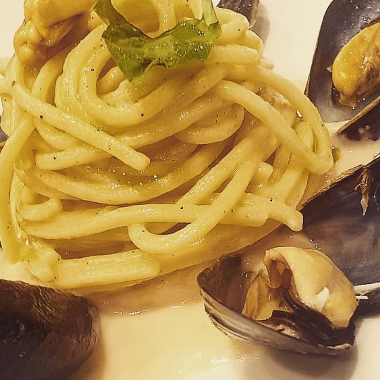 Spaghetti alla chitarra con crema di cannellini e cozze