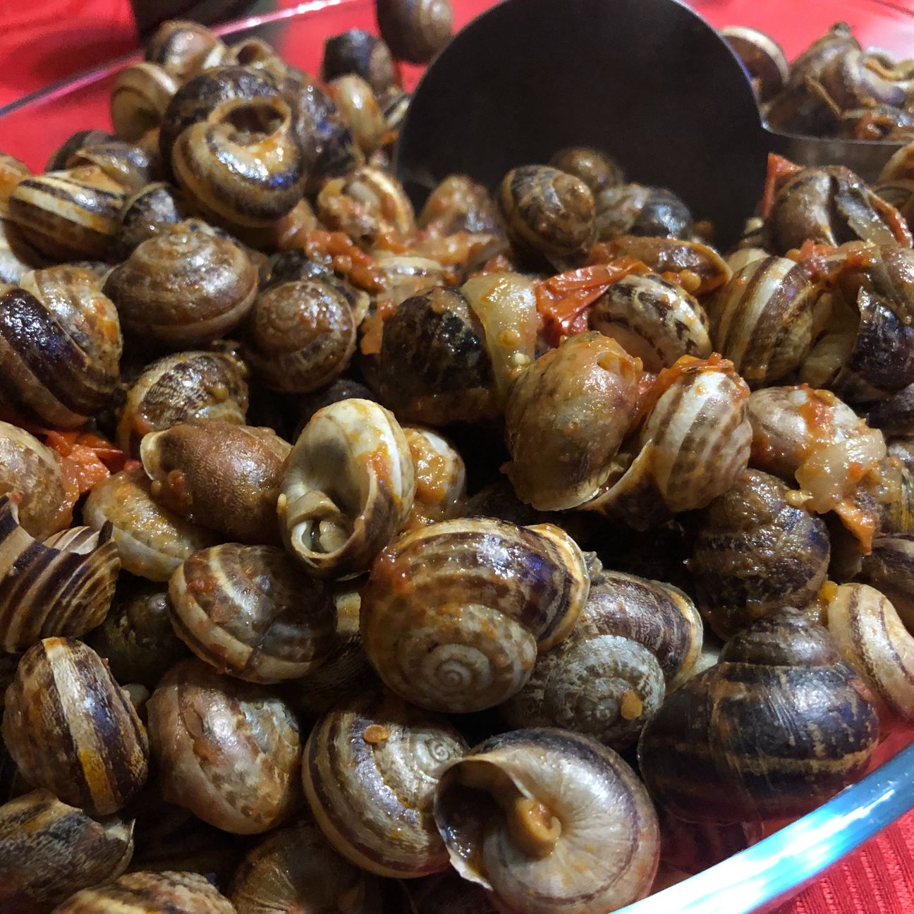Lumache