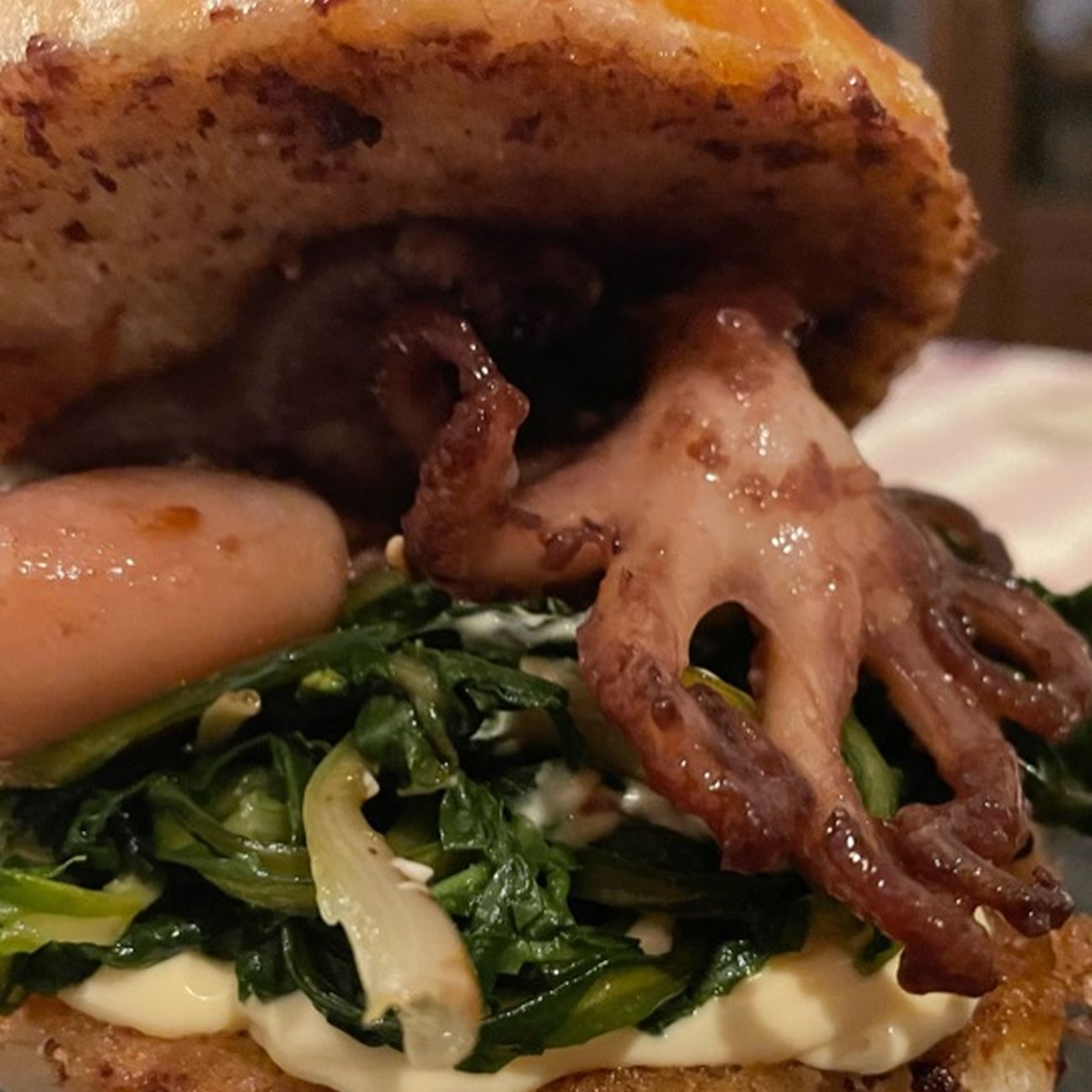 Panino gourmet