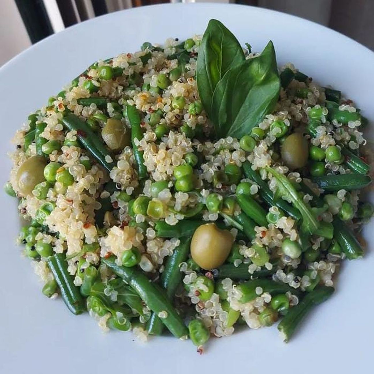 piatto green