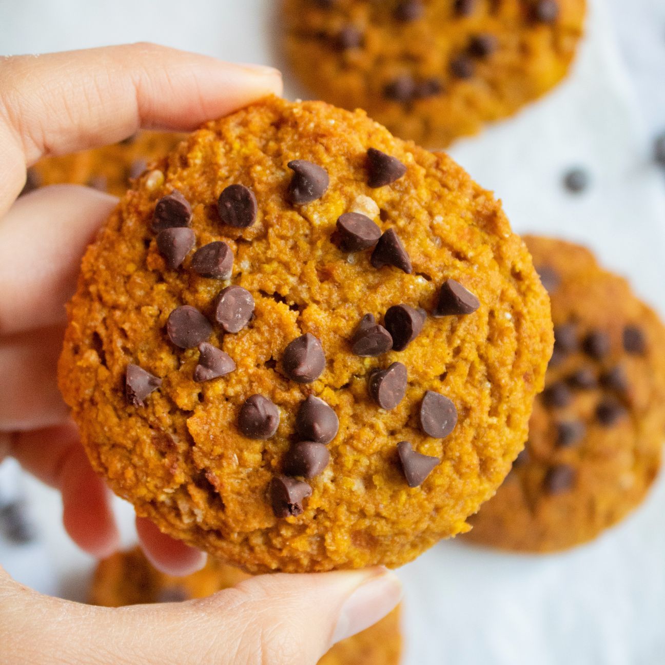 Biscotti di zucca senza burro e latte
