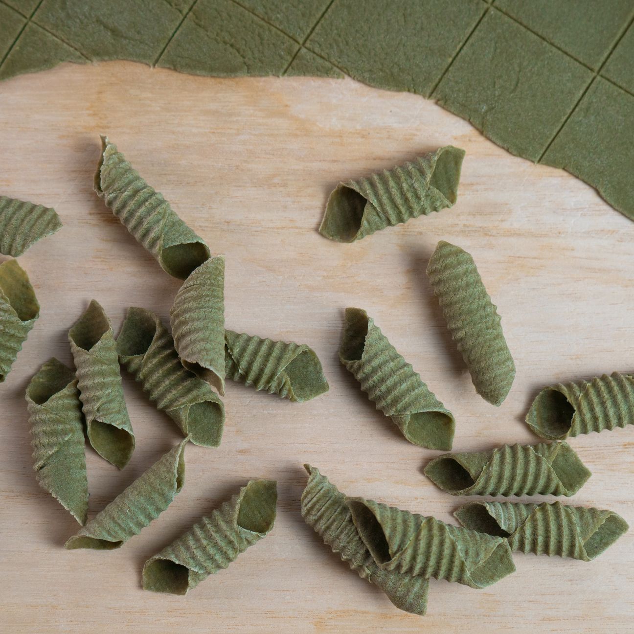 Garganelli Verdi💚