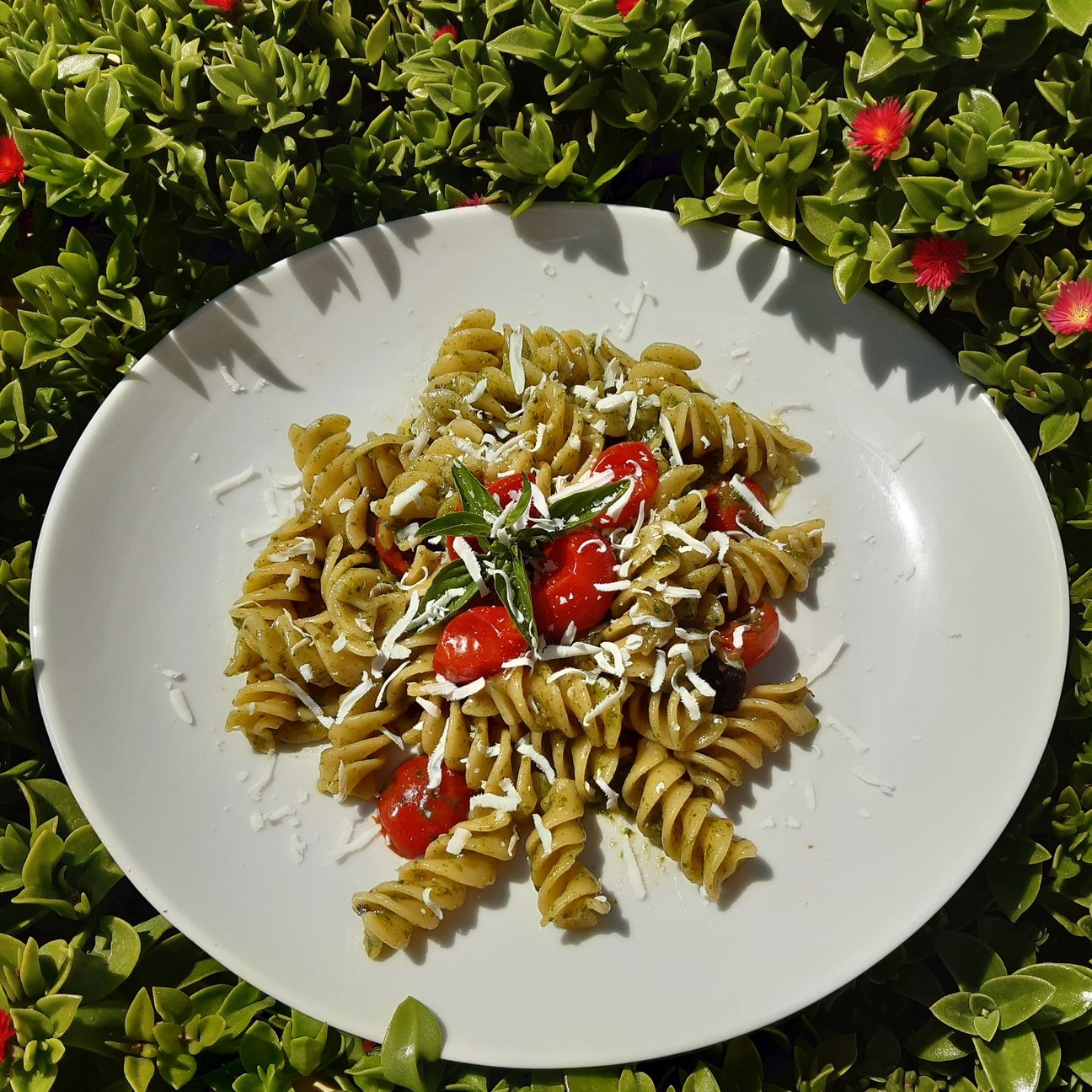 Norma alla genovese