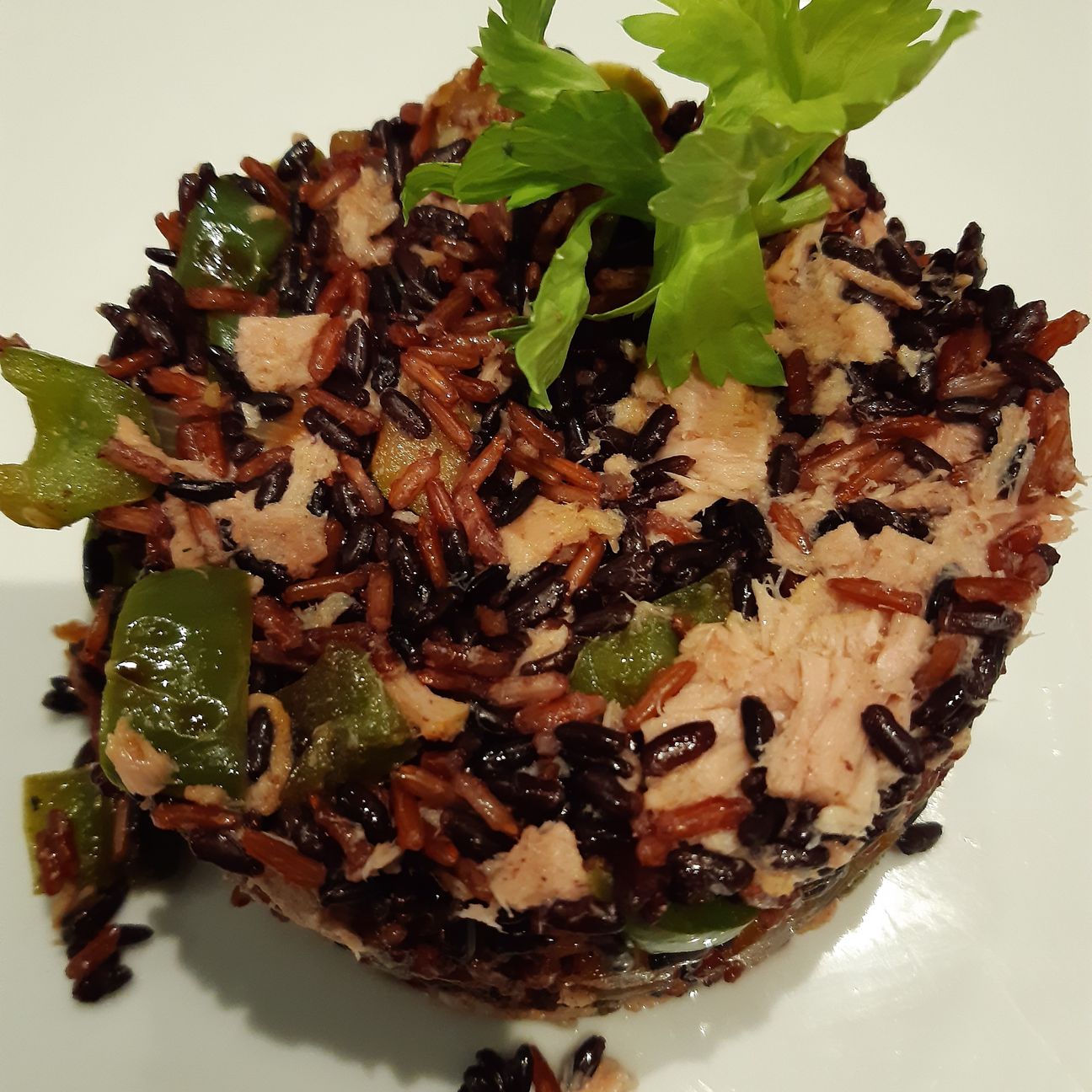 Tortino di riso venere e rosso con ortaggi di stagione e tonno.