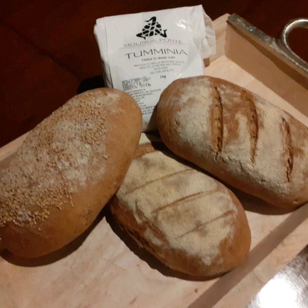 Pane con farina di grano tumminia