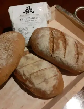 Ricetta Pane con farina di grano tumminia di domenico.sant