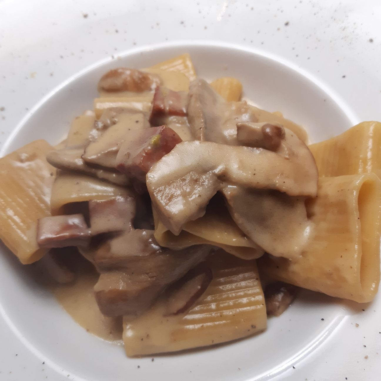 Gigantoni con funghi porcini,crema di fontina e tocchetti di salame al pistacchio