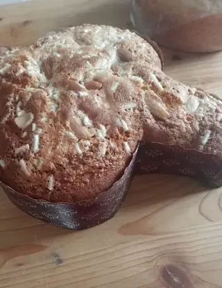 Ricetta Colomba di Pasqua di DolcipasticciconEma