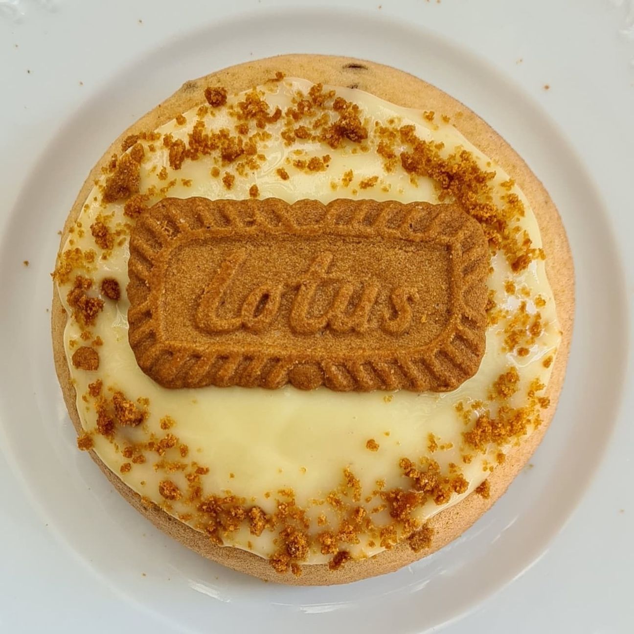 Cicciopancake proteico con gocce di cioccolato