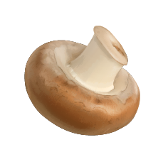 step img
