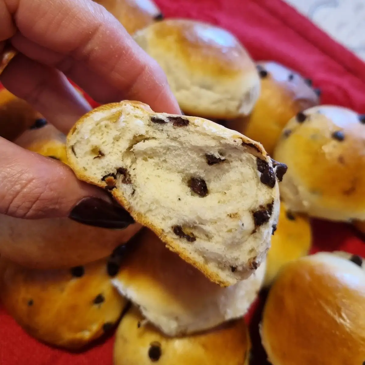 Ricetta Panini al latte e cioccolato di graziella31