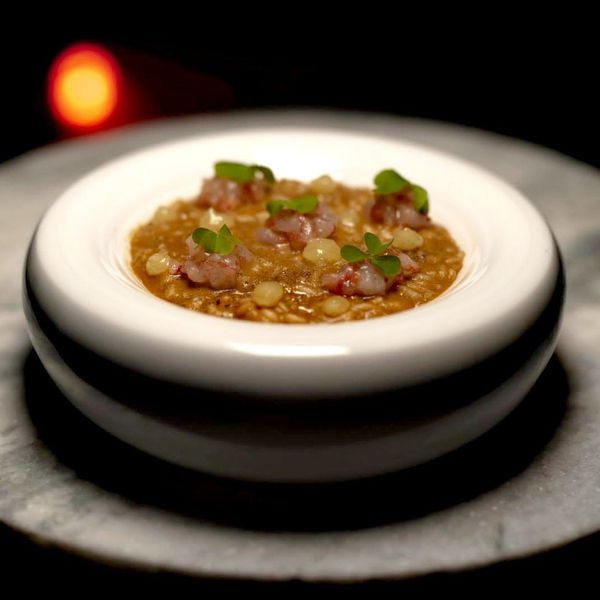 risotto astice, con tartare di gambero rosso, gel di papaya al limone e
