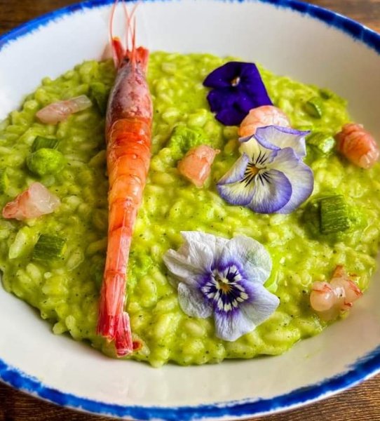 Risotto con crema di zucchine e crudo di gamberi rossi Al.ta Cucina