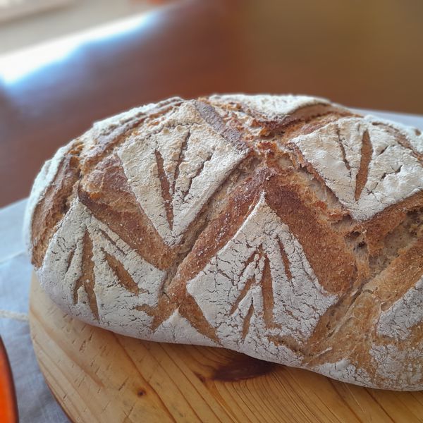 Lievito Madre Bacillus Bulgaricus – Antipasto Per Pane E Yogurt - Foto 3